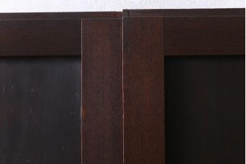 和製アンティーク　ケヤキ・杉材　堅牢な雰囲気が漂う障子帯戸2枚セット(板戸、引き戸、建具)(R-035992)