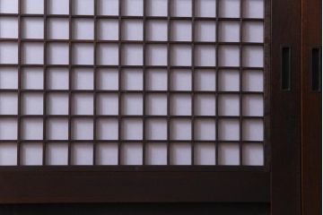 和製アンティーク　ケヤキ・杉材　堅牢な雰囲気が漂う障子帯戸2枚セット(板戸、引き戸、建具)(R-035992)