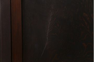 和製アンティーク　ケヤキ・杉材　堅牢な雰囲気が漂う障子帯戸2枚セット(板戸)(2)