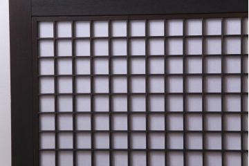 和製アンティーク　ケヤキ・杉材　堅牢な雰囲気が漂う障子帯戸2枚セット(板戸)(2)