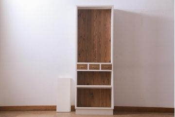 ラフジュ工房オリジナル　古材使用　レトロなペイントの薄型ブックシェルフ(収納棚、本棚、ウッドシェルフ)