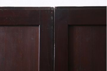 和製アンティーク　シンプルなデザインで様々なテイストに馴染む板戸2枚セット(帯戸、建具)