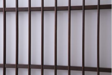 昭和レトロ　当店オリジナルガラス　腰板ケヤキ材　上品かつ趣溢れる格子戸(ガラス戸、引き戸、建具)2枚セット