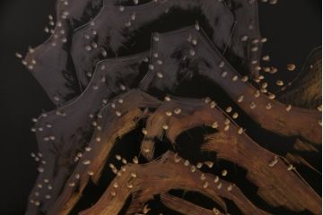 中古　伝統工芸　白峯作　漆塗り　鎗金・沈金蒔絵　山水図の衝立(パーテーション)