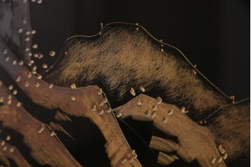中古　伝統工芸　白峯作　漆塗り　鎗金・沈金蒔絵　山水図の衝立(パーテーション)