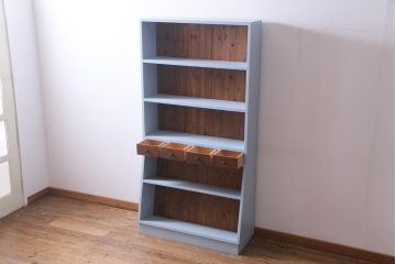 ラフジュ工房オリジナル　ペイント家具　古材使用　くすんだカラーが魅力的な薄型ブックシェルフ(収納棚、本棚、ウッドシェルフ)