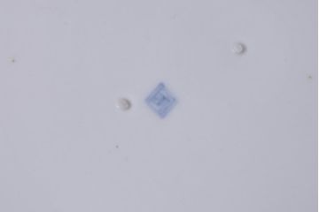 アンティーク雑貨　江戸期　色絵　花鳥文　一尺三寸大皿