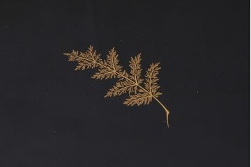 中古　伝統工芸　輪島塗　共箱付き　草花蒔絵　螺鈿　漆器　優雅で気品あふれる屠蘇器(とそき)(定価約70万円)