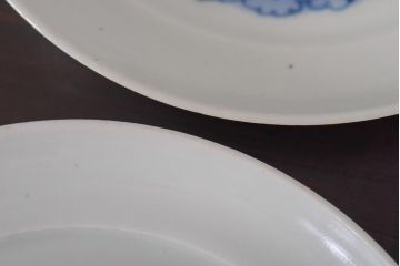 アンティーク雑貨　江戸期　牡丹の図　染付皿2枚セット(和食器)(R-036511)