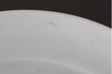 アンティーク雑貨　江戸期　牡丹の図　染付皿2枚セット(和食器)(R-036511)