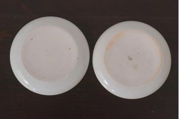 アンティーク雑貨　江戸期　牡丹の図　染付皿2枚セット(和食器)(R-036511)