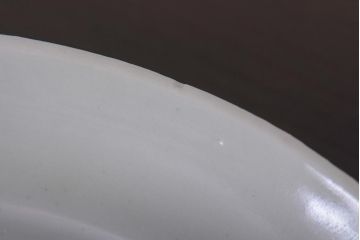 アンティーク雑貨　江戸期　牡丹の図　染付皿2枚セット(和食器)(R-036511)