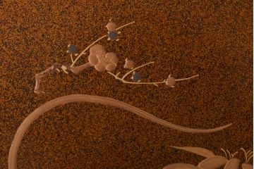 アンティーク雑貨　古民具　外箱付き　椿・梅・水仙の蒔絵が美しい四段重箱(お重)(R-036534)