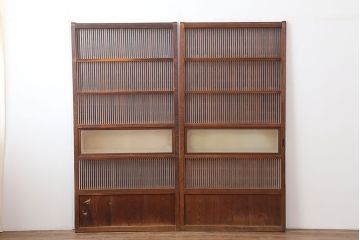 アンティーク建具　和製アンティーク　昭和初期　桟が存在感を放つ格子戸2枚セット(ガラス帯戸、引き戸、建具)(R-036770)