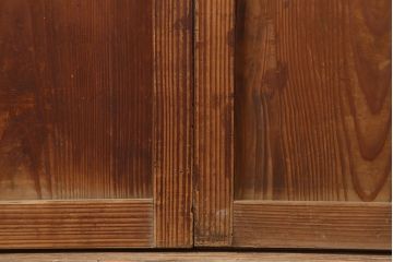 アンティーク建具　和製アンティーク　昭和初期　桟が存在感を放つ格子戸2枚セット(ガラス帯戸、引き戸、建具)(R-036770)
