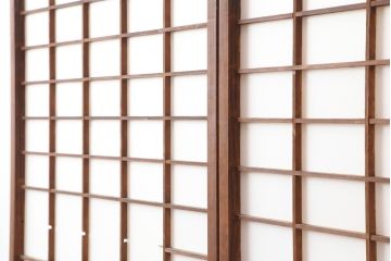 アンティーク建具　格子入り障子戸2枚セット(ガラス帯戸、引き戸、建具、格子戸)(R-036778)