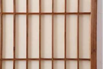 アンティーク建具　昭和初期　縦額入り障子戸2枚セット(引き戸、建具)(R-036779)