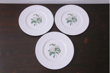 英国イギリス　Spode(スポード)　Virginia(バージニア)　ディナープレート、スーププレートなど6枚セット(皿、洋食器)(R-036832)