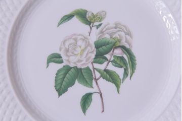 英国イギリス　Spode(スポード)　Virginia(バージニア)　ディナープレート、スーププレートなど6枚セット(皿、洋食器)(R-036832)