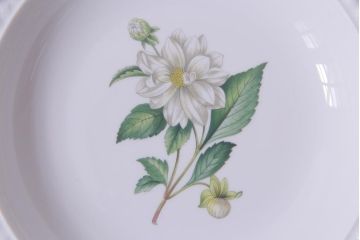 英国イギリス　Spode(スポード)　Virginia(バージニア)　ディナープレート、スーププレートなど6枚セット(皿、洋食器)(R-036832)