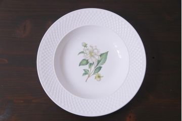 英国イギリス　Spode(スポード)　Virginia(バージニア)　ディナープレート、スーププレートなど6枚セット(皿、洋食器)(R-036832)