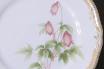 中古　ノリタケ(Noritake)　GALA CONTESSA(ガラコンテッサ)　深山半鐘蔓　ケーキプレート6枚セット(ケーキ皿、洋食器)(R-036833)