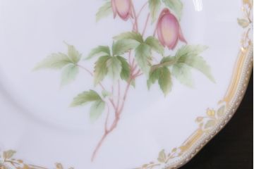 中古　ノリタケ(Noritake)　GALA CONTESSA(ガラコンテッサ)　深山半鐘蔓　ケーキプレート6枚セット(ケーキ皿、洋食器)(R-036833)