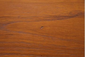 ヴィンテージ家具　北欧ビンテージ　チーク材　スタイリッシュなデザインが目を惹くバタフライテーブル(エクステンションテーブル、ラウンドテーブル)