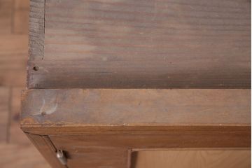 アンティーク家具　昭和中期　木製扉付きの和レトロなテレビ台(ローボード、収納棚)(R-036914)