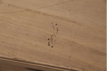 アンティーク家具　ストリップド(剥離)　総桐材　大きな金具が目を引く衣装箪笥(引き出し、チェスト)(R-036924)