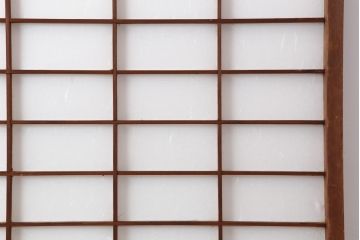 アンティーク建具　昭和初期　浮造りのような木目が目を引く障子戸2枚セット(建具、引き戸)(R-037013)
