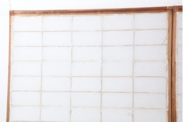 アンティーク建具　昭和初期　浮造りのような木目が目を引く障子戸2枚セット(建具、引き戸)(R-037013)