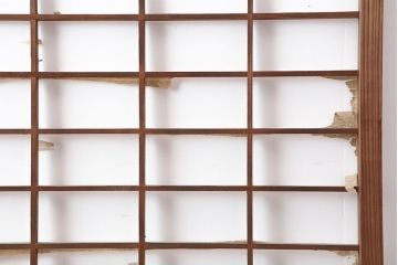 アンティーク建具　昭和初期　シンプルな障子戸3枚セット(ガラス帯戸、引き戸)(R-037014)