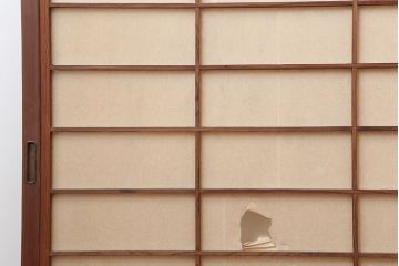 アンティーク建具　昭和初期　摺り上げ　　腰板杉材　うずら杢　風情あるインテリアにおすすめな雪見障子戸4枚セット(建具、擦り上げ障子戸、擦上障子戸、引き戸)(R-037052)