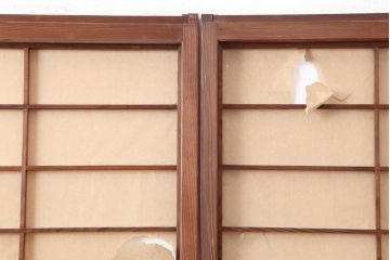 アンティーク建具　昭和中期　摺り上げ　腰板杉材　うずら杢が美しい雪見障子戸3枚セット(建具、擦り上げ障子戸、擦上障子戸、引き戸)(R-037053)