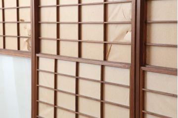 アンティーク建具　昭和中期　摺り上げ　腰板杉材　うずら杢が美しい雪見障子戸3枚セット(建具、擦り上げ障子戸、擦上障子戸、引き戸)(R-037053)