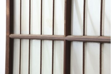 アンティーク建具　鉄格子入りが珍しいレトロなガラス戸2枚セット(引き戸、建具)(R-037070)