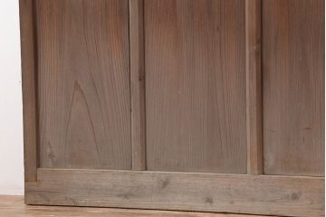アンティーク建具　鉄格子入りが珍しいレトロなガラス戸2枚セット(引き戸、建具)(R-037070)