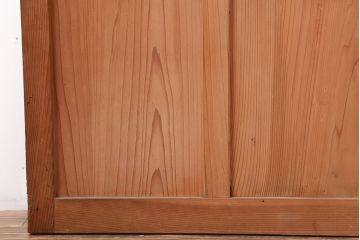 アンティーク建具　昭和中期　シンプルさが魅力のガラス戸2枚セット(引き戸、建具)(R-037088)