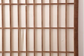 アンティーク建具　昭和初期　和空間を引き立てる幅広の障子戸2枚セット(引き戸、建具)(R-037100)