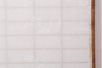 アンティーク建具　和製アンティーク　昭和初期　シンプルな木製フレームの障子戸2枚セット(建具、引き戸)(R-037109)