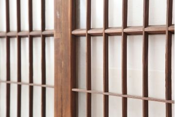 アンティーク建具　和製アンティーク　昭和初期　シンプルさが魅力の引き戸2枚セット　(R-037110)