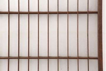 アンティーク建具　和製アンティーク　昭和初期　シンプルさが魅力の引き戸2枚セット(窓、建具)(R-037111)