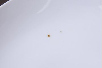 アンティーク雑貨　箱付き　柿右衛門　8寸変形皿5枚セット(ひげ皿)(R-037333)