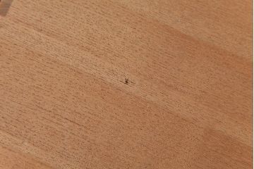 アンティーク雑貨　指物　桐材　シンプルな上手物の書箱(書類箱、帳簿入れ)(R-037346)