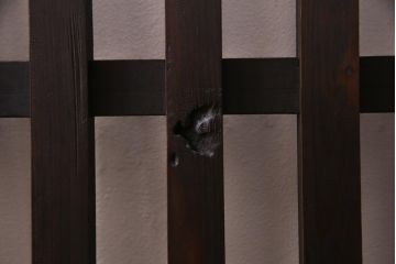 アンティーク建具　明治大正期　風情を感じさせる和モダンな縦格子戸1枚(建具、はめ殺し、DIY)