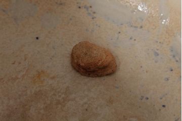 アンティーク雑貨　昭和初期　牡丹の図　タイルのようなデザインが可愛らしい瀬戸火鉢(鉢カバー)(R-037417)