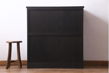 アンティーク家具　ラフジュ工房オリジナル　古建具リメイク　組子の引き戸が風情漂うキャビネット(収納棚、戸棚、書院戸)(R-037430)