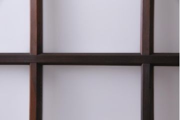 レトロ家具　すりガラス入り　味のある大振りなガラス戸1枚(引き戸、建具)(R-037482)