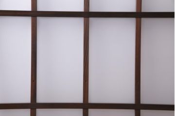 レトロ家具　すりガラス入り　味のある大振りなガラス戸1枚(引き戸、建具)(R-037482)